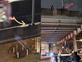 Illustration de l'article : Piégée sur une autoroute, cette petite chatte a été sauvée grâce à la solidarité de toute une ville !