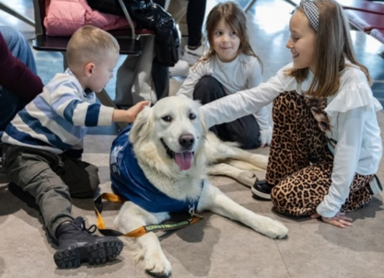 Illustration de l'article : Dino, un Golden Retriever, met ses compétences au service de voyageurs anxieux à l’idée de prendre l’avion