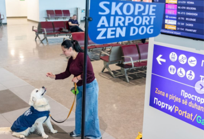 Illustration de l'article : Dino, un Golden Retriever, met ses compétences au service de voyageurs anxieux à l’idée de prendre l’avion