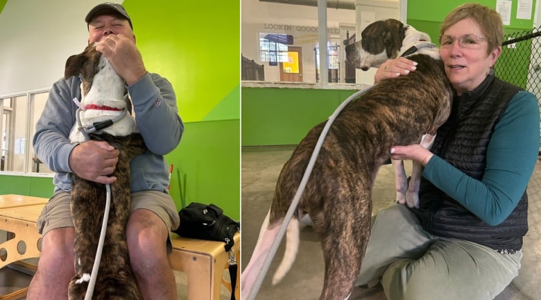 Illustration de l'article : Un couple de retraités effectue 6 heures de route pour adopter une chienne timide qui avait besoin de leur aide