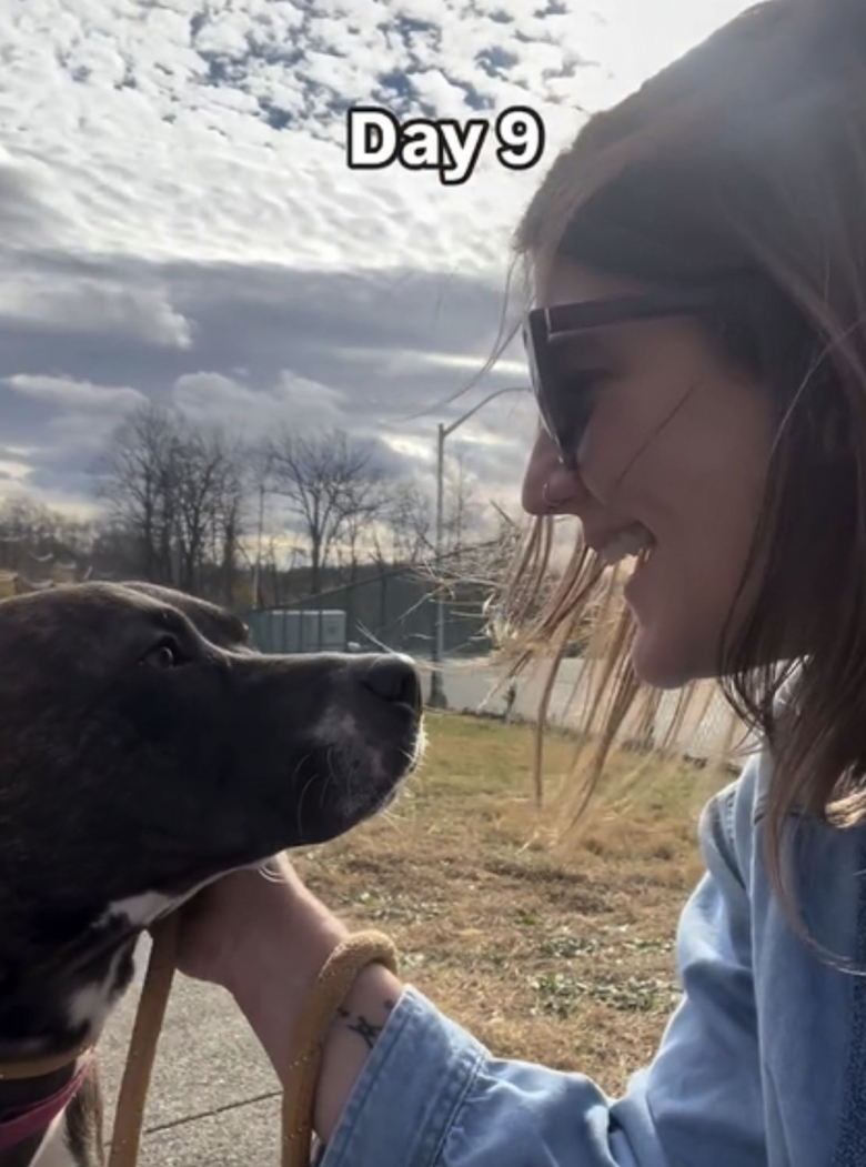 Illustration de l'article : À force de patience et d’amour, une bénévole de refuge aide une chienne terrifiée à reprendre confiance envers les humains (vidéo)