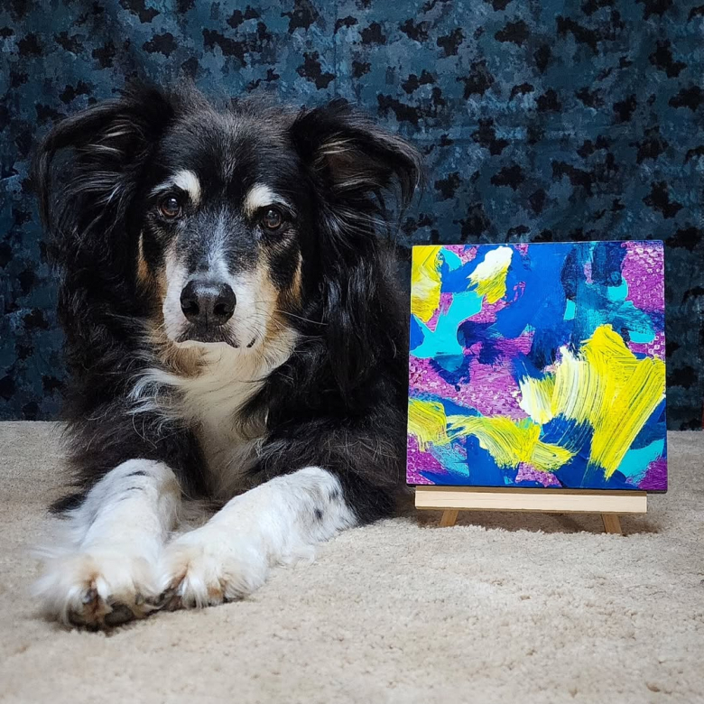 Illustration de l'article : Artiste peintre autodidacte, ce Berger Australien possède un talent particulier et vend ses œuvres sur Internet