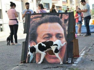 Illustration de l'article : 12 photos d’animaux à la fois adorables et dérangeantes