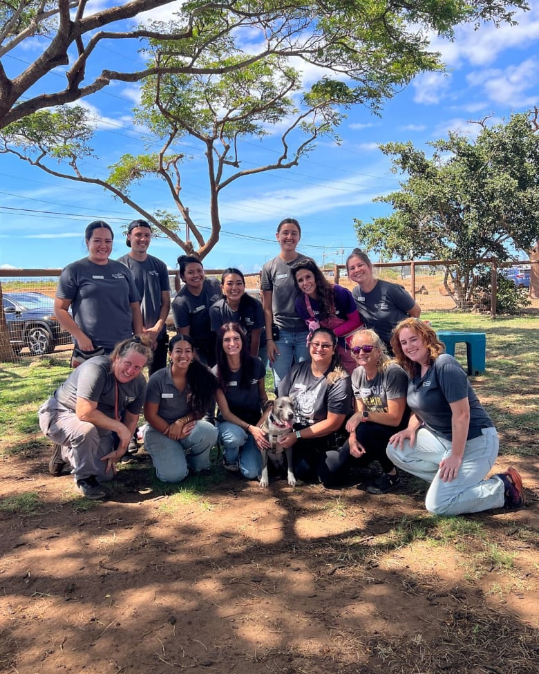 Illustration de l'article : Cette femme adopte une chienne atteinte d'une maladie incurable et qui a passé plus de 790 jours dans un refuge