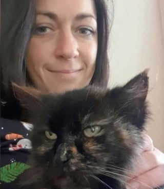 Illustration de l'article : Pensée perdue à jamais, cette chatte réapparaît 9 ans plus tard et reconnaît ses maîtres immédiatement