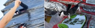 Illustration de l'article : Partie acheter du béton, elle revient du magasin avec un chaton nouveau-né découvert sous un emballage plastique (vidéo)