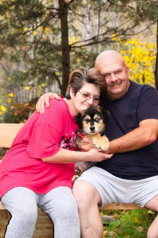 Illustration de l'article : Un chiot saute sur la poitrine de son maître victime d'une crise cardiaque pendant des heures et lui sauve la vie