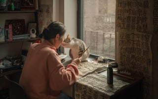 Illustration de l'article : 15 comportements par lesquels un chat témoigne son amour à son maître