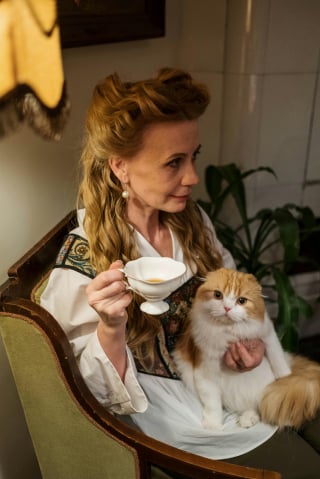 Illustration de l'article : 15 comportements par lesquels un chat témoigne son amour à son maître