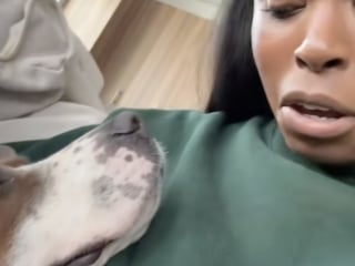 Illustration de l'article : Le regard aimant et tendre de cette chienne envers sa mère d’accueil en dit long sur son soulagement (vidéo)