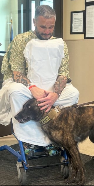 Illustration de l'article : Un chien policier rend visite à son maître hospitalisé et l'encourage à marcher à nouveau lors d'émouvantes retrouvailles