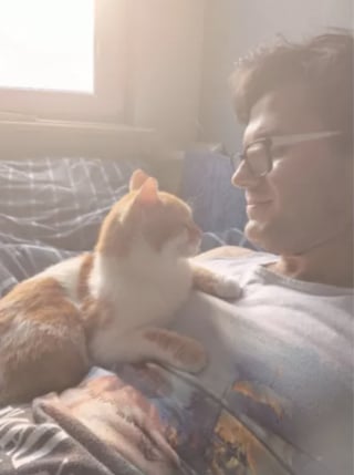 Illustration de l'article : Un « homme à chiens » sauve un chaton agonisant sur la route et ne voit désormais plus la vie sans lui