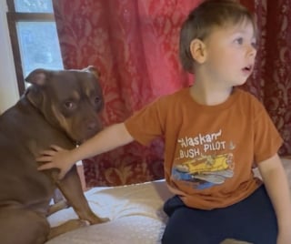 Illustration de l'article : Son fils atteint d’autisme n’avait jamais caressé le chien de la famille, elle capture ce moment très émouvant en vidéo