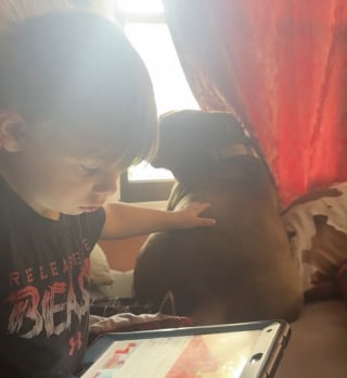 Illustration de l'article : Son fils atteint d’autisme n’avait jamais caressé le chien de la famille, elle capture ce moment très émouvant en vidéo