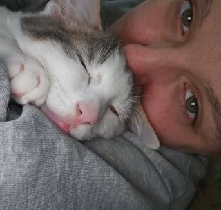Illustration de l'article : Une femme pensait avoir perdu son chat disparu depuis 3 mois, elle le découvre chez le voisin qui veut le garder