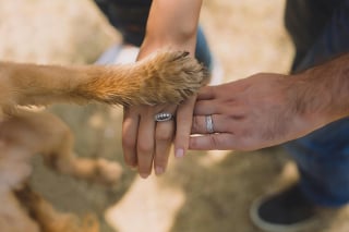 Illustration de l'article : 8 signes qui prouvent que vous n'êtes pas prêt à accueillir un chien