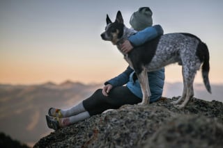 Illustration de l'article : 8 signes qui prouvent que vous n'êtes pas prêt à accueillir un chien