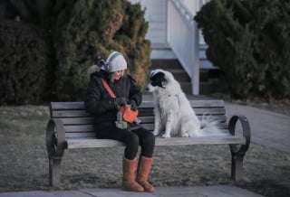 Illustration de l'article : 8 signes qui prouvent que vous n'êtes pas prêt à accueillir un chien