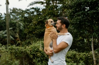 Illustration de l'article : 8 signes qui prouvent que vous n'êtes pas prêt à accueillir un chien