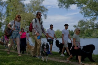 Illustration de l'article : Des milliers de chiens et de maîtres réunis pour un week-end de bonheur à Canidays avec Hill's 2025 (vidéo)