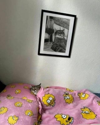Illustration de l'article : 10 photos de chats et de chiens qui vont vous toucher en plein coeur