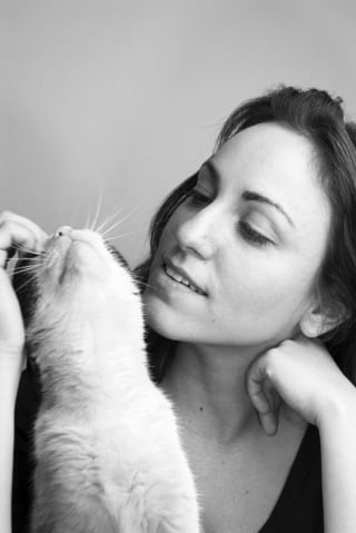 Illustration de l'article : 7 raisons expliquant pourquoi votre chat vous suit comme votre ombre