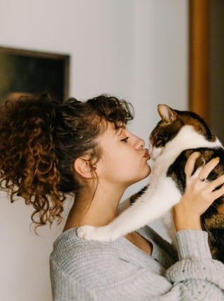 Illustration de l'article : 7 raisons expliquant pourquoi votre chat vous suit comme votre ombre