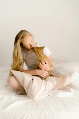 Illustration de l'article : 7 raisons expliquant pourquoi votre chat vous suit comme votre ombre
