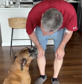 Illustration de l'article : Choyée comme une princesse, cette femelle Boxer adore que son grand-père vienne la border au moment de la sieste (vidéo)