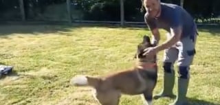 Illustration de l'article : "Il n’était pas du tout agressif", ce chien abandonné sans nourriture et seul dans un appartement accueille ses sauveteurs avec douceur