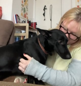 Illustration de l'article : Elle adopte un chien à l'étranger et apprend la langue grâce à lui après avoir découvert qu'il connaissait ses ordres de base (vidéo)