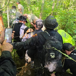 Illustration de l'article : "Je l’ai retrouvé, mais je suis perdu", un homme doit survivre une nuit en forêt après avoir retrouvé son chien égaré