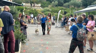 Illustration de l'article : Ils défilent sur un podium avec des chiens de refuge pour changer leur image, et un d’eux trouve enfin une famille