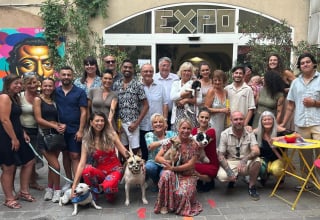 Illustration de l'article : Ils défilent sur un podium avec des chiens de refuge pour changer leur image, et un d’eux trouve enfin une famille