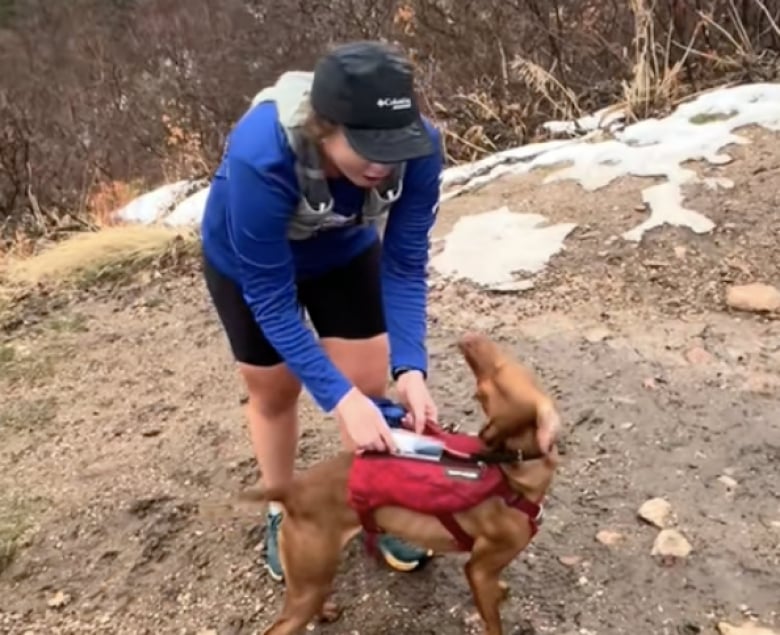 Illustration de l'article : Cette jeune femme confie la plus importante des missions à sa chienne afin d’annoncer une grande nouvelle à ses amies (vidéo)