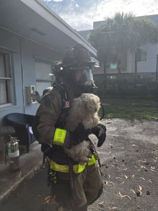 Illustration de l'article : Prête à tout pour le sauver, une policière sort un chien des flammes et part elle-même à l’hôpital