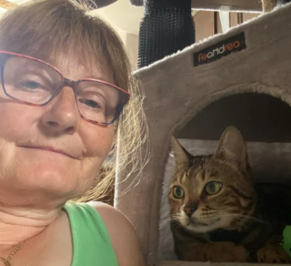 Illustration de l'article : Son chat disparaît pendant 8 semaines, elle découvre que son voisin a tenté de s’en débarrasser