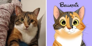 Illustration de l'article : 12 œuvres artistiques transformant littéralement des chiens et des chats en portraits animés