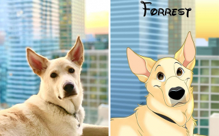 Illustration de l'article : 12 œuvres artistiques transformant littéralement des chiens et des chats en portraits animés