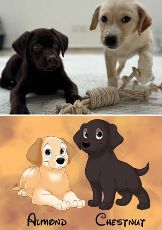Illustration de l'article : 12 œuvres artistiques transformant littéralement des chiens et des chats en portraits animés