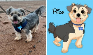 Illustration de l'article : 12 œuvres artistiques transformant littéralement des chiens et des chats en portraits animés