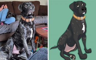 Illustration de l'article : 12 œuvres artistiques transformant littéralement des chiens et des chats en portraits animés