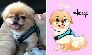 Illustration de l'article : 12 œuvres artistiques transformant littéralement des chiens et des chats en portraits animés