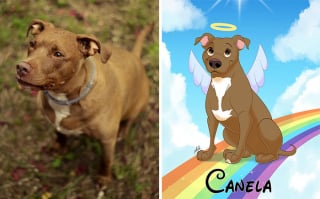 Illustration de l'article : 12 œuvres artistiques transformant littéralement des chiens et des chats en portraits animés