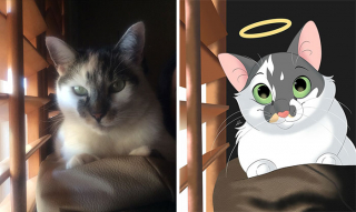 Illustration de l'article : 12 œuvres artistiques transformant littéralement des chiens et des chats en portraits animés
