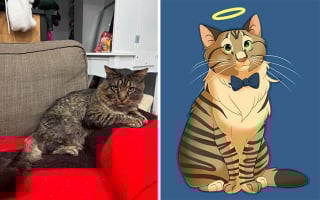 Illustration de l'article : 12 œuvres artistiques transformant littéralement des chiens et des chats en portraits animés