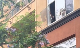 Illustration de l'article : Un chien coincé sur le rebord d'une fenêtre est sauvé grâce à des voisins qui tendent une bâche pour le protéger du vide (vidéo)