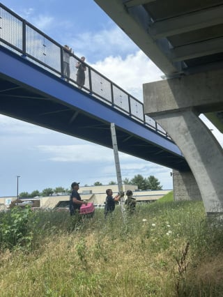 Illustration de l'article : Coincé sur un pont, ce chaton de 8 semaines est désormais adopté et porte le nom de son sauveteur