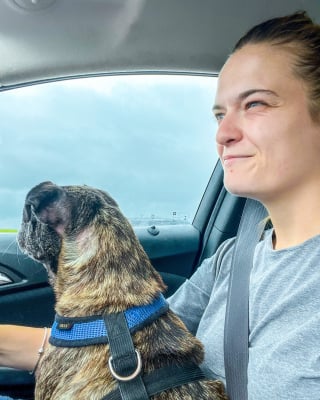 Illustration de l'article : Disparue lors d’un ouragan, une chienne réapparaît 8 ans plus tard dans des toilettes publiques à des centaines de kilomètres