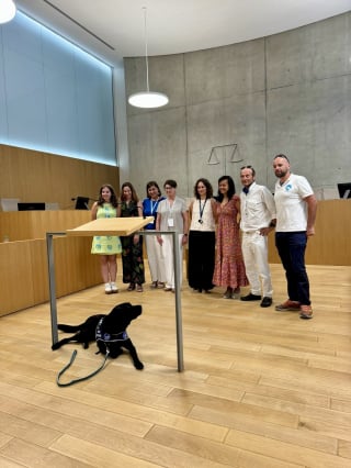 Illustration de l'article : Auxiliaire de justice à part entière, ce chien débute officiellement sa mission au tribunal où il réconforte les victimes et libère leur parole